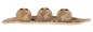 Preview: Exklusives XL-Teelichthalter SET 50 cm lang 8 cm hoch
