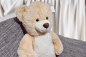Preview: XL-Teddybär 80 cm Riesen Teddybär - der kuschelige Freund für Ihren Nachwuchs