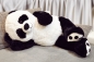 Mobile Preview: XXL-Pandabär 100 cm Riesen Teddybär - der kuschelige Freund für Ihren Nachwuchs