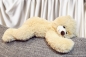 Preview: Schlafbär Teddybär 60 cm - der kuschelige Freund für Ihren Nachwuchs